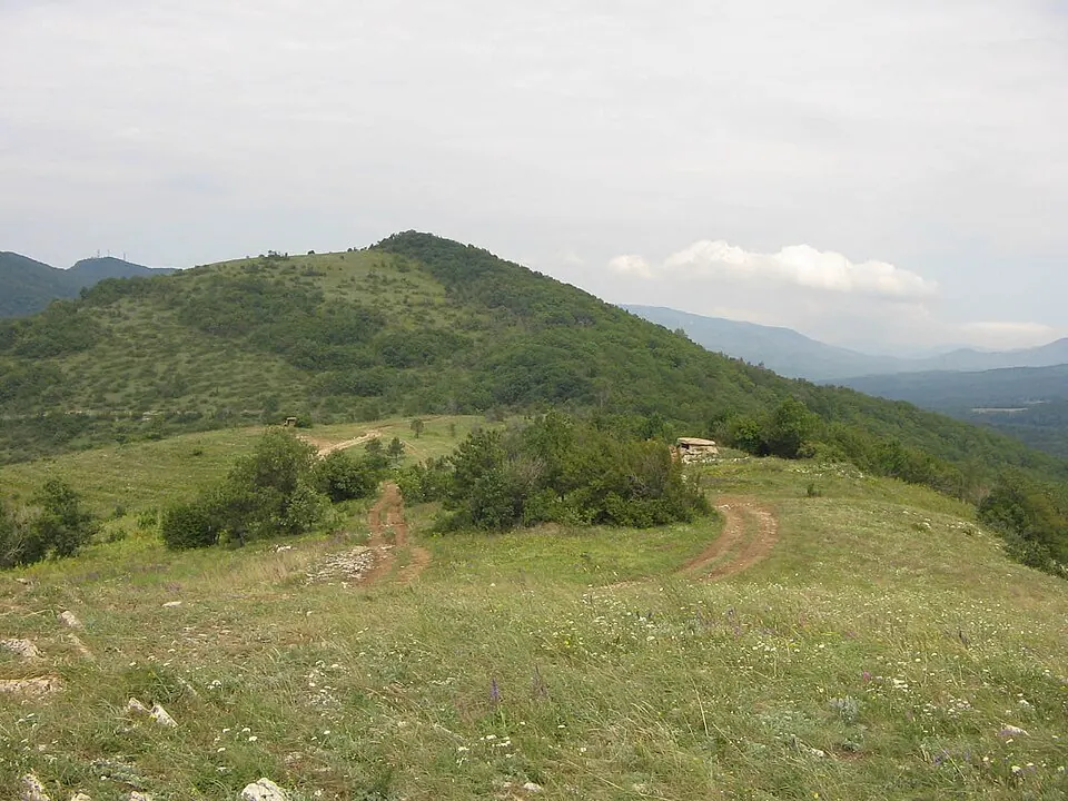 Нексис