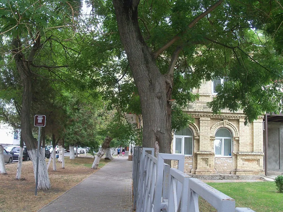 Таманская улица (Анапа)