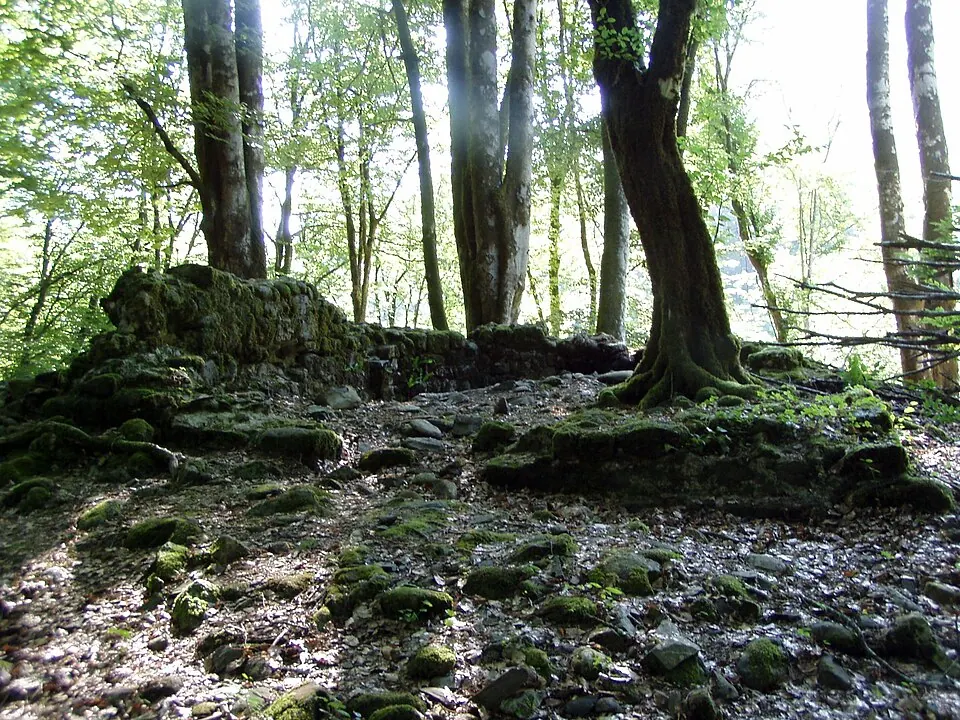 Агуа