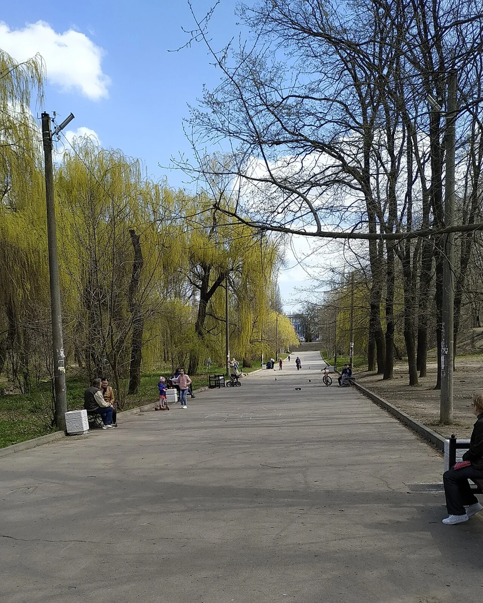 Роща «Дубки»