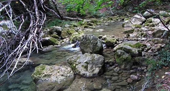 Каньон реки Коккозка