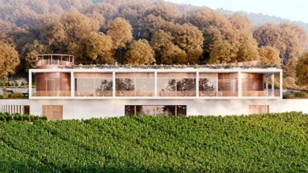 Винодельня AYA Vineyards