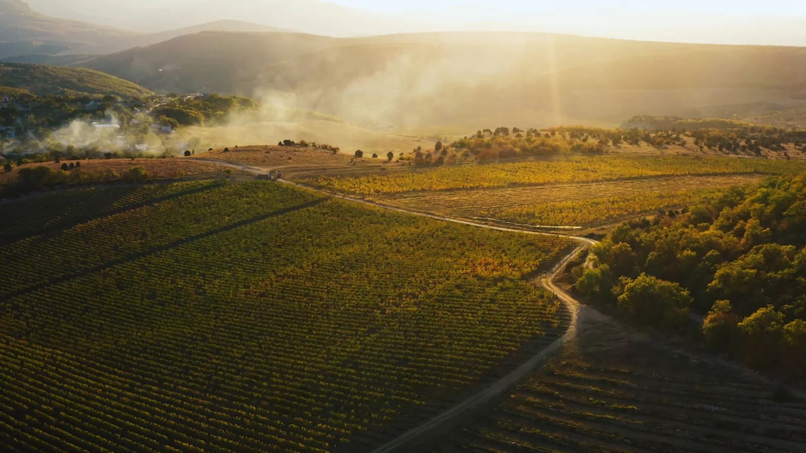 Виноградники Belmas Winery