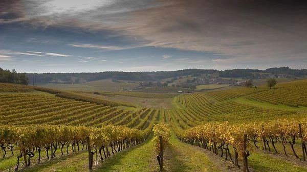 Виноградники ESSE: Sunset Wine Tour