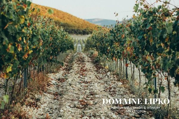 Виноградники Domaine Lipko