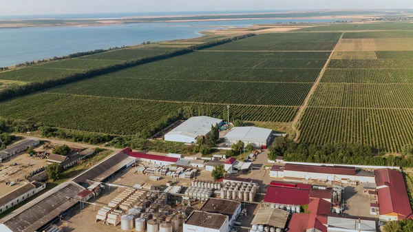Винодельня Millstream