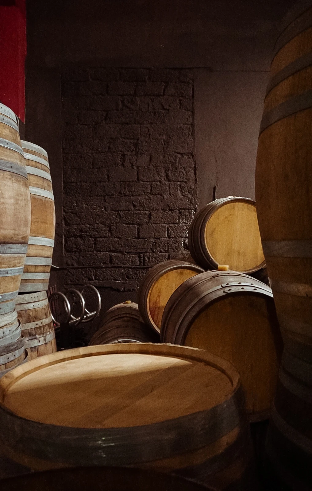 Городская винодельня STN Winery