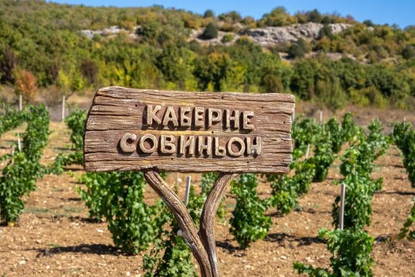 Винодельня «Вилла Уркуста»