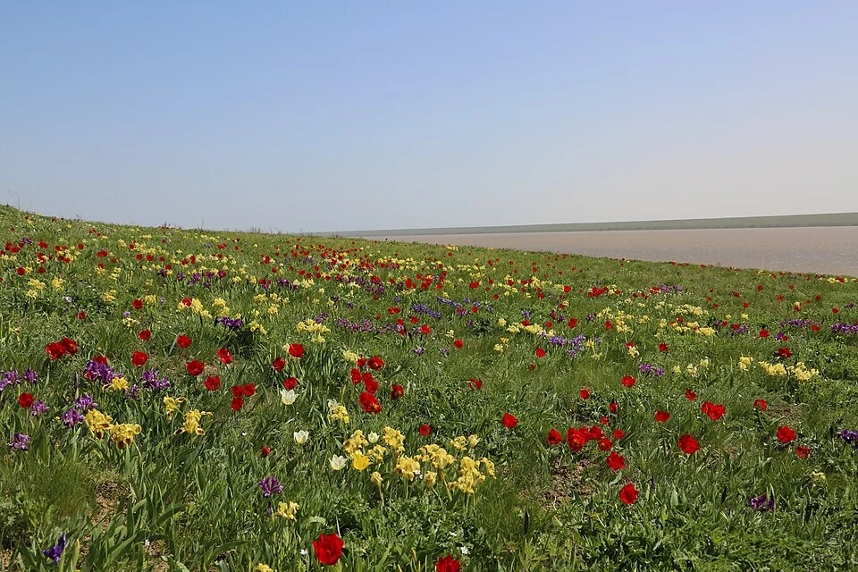 Ростовский заповедник