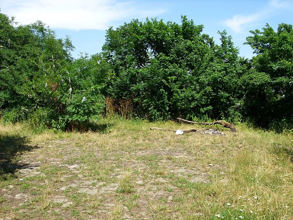 Гора Железная