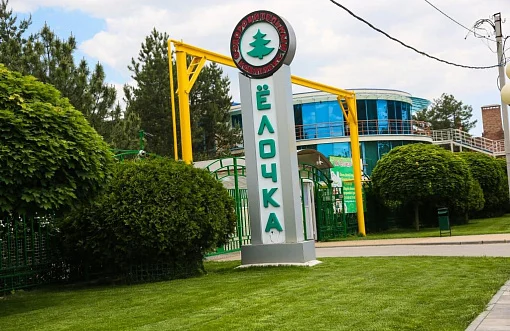 Ёлочка 2*