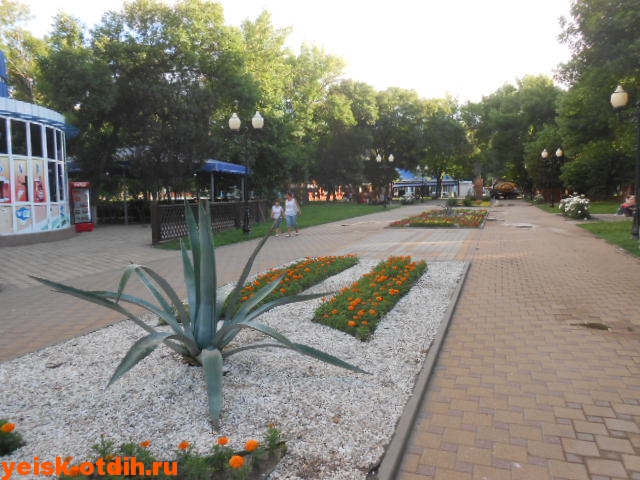 Прогулка по аллеям парка Горького