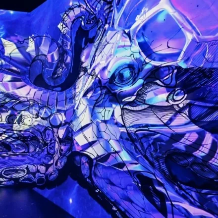 Интерактивный Magic Park