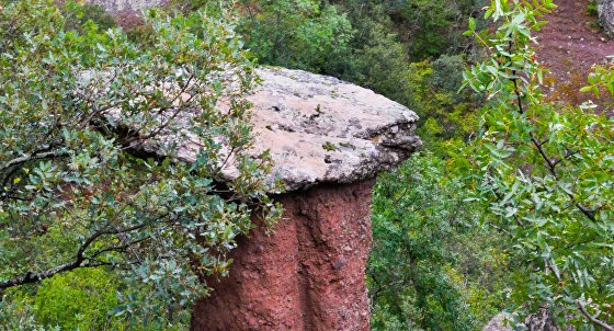 Каменные грибы Сотеры