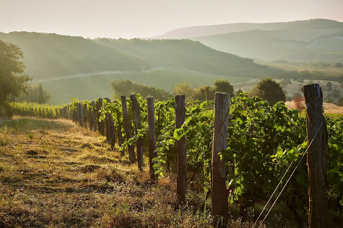 Uppa Winery